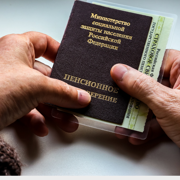 ЛДПР поддерживает предложение президента об индексации пенсий выше уровня инфляции