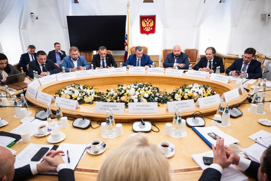 Депутаты Госдумы от ЛДПР встретились с министрами социального сектора 