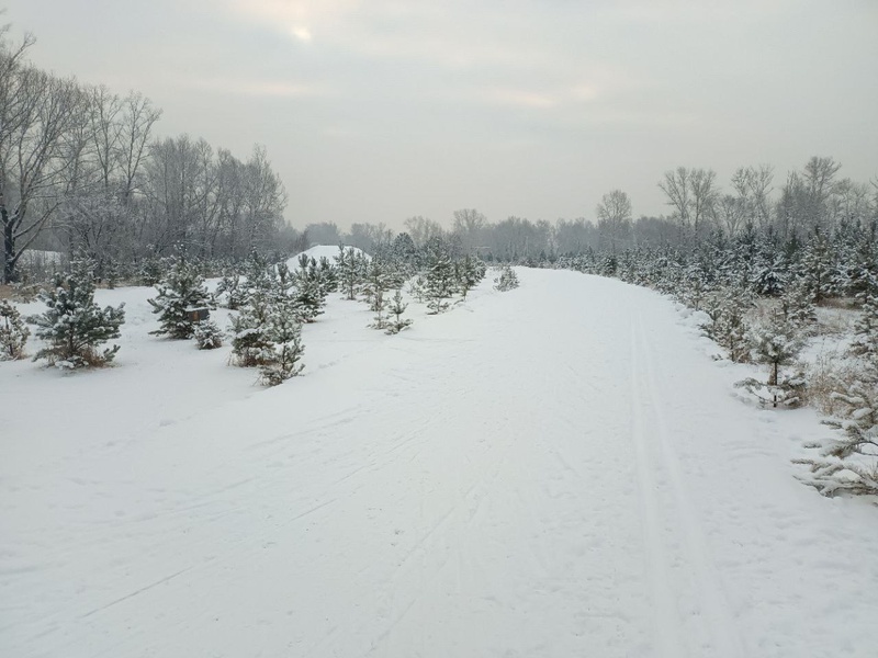 Абакан, вставай  на лыжи!  