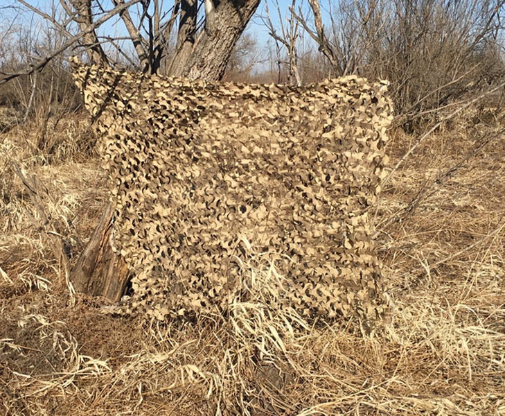 Плечом к плечу