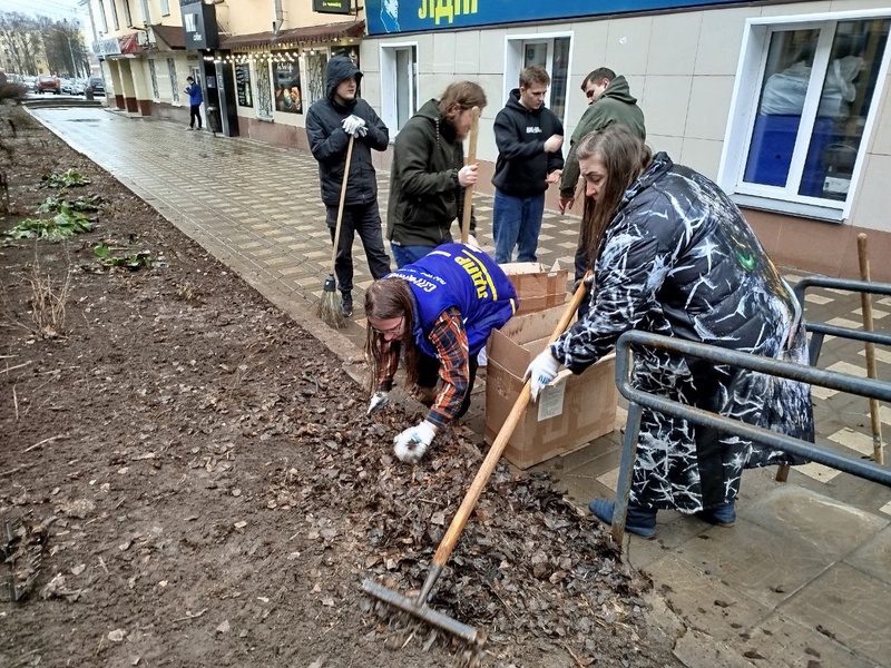 ЛДПР за чистый город