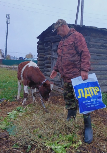 В Прилузье поздравили работников сельского хозяйства