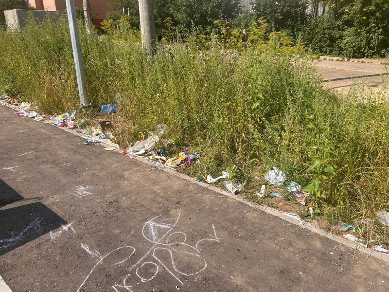 В ЛДПР обеспокоены антисанитарией на детских площадках в костромском Заволжье 