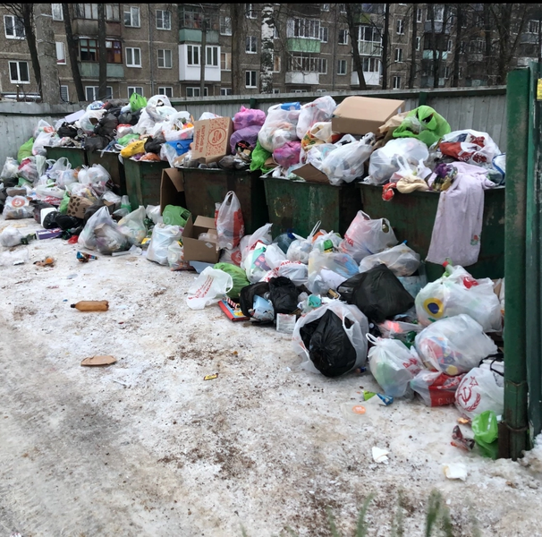 Активист ЛДПР возмущен состоянием мусорных площадок в Костроме в преддверии праздников