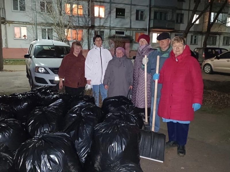 ЛДПР помогла волгореченцам очистить двор от мусора