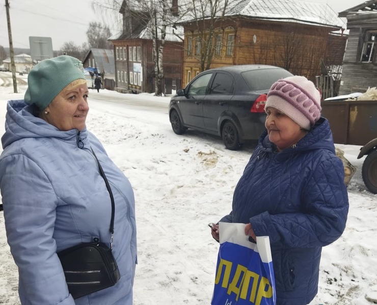 Солигаличанка пожаловалась депутату ЛДПР на бездействие сетевой организации в опасной ситуации