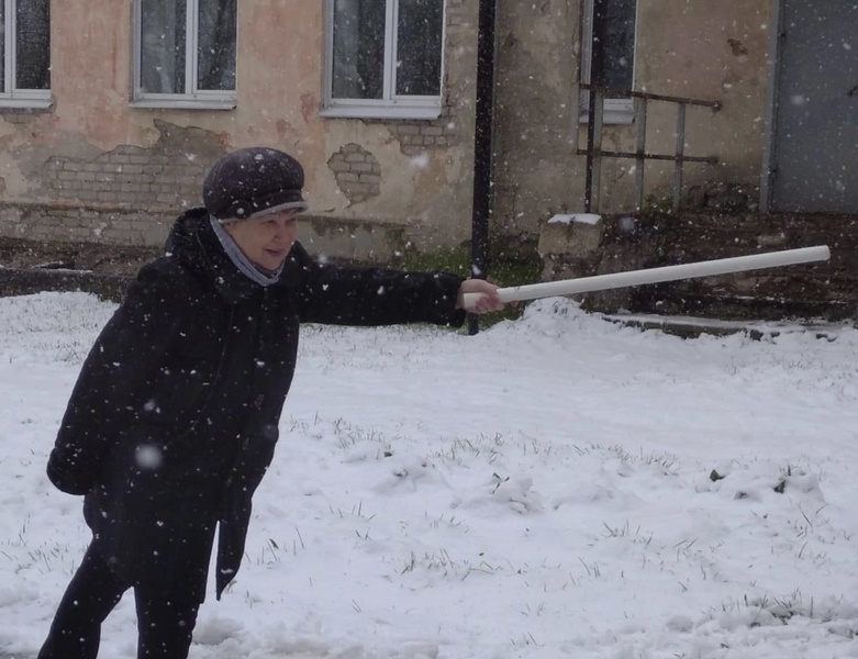 ЛДПР поддержала соревнования по еврогородкам в Шарье