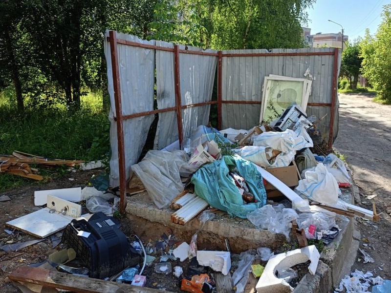 Молодёжь ЛДПР выявила стихийную свалку на улице Индустриальной в Костроме 