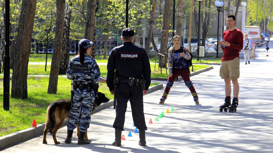 ЛДПР предложила обязать полицию патрулировать общественные места   