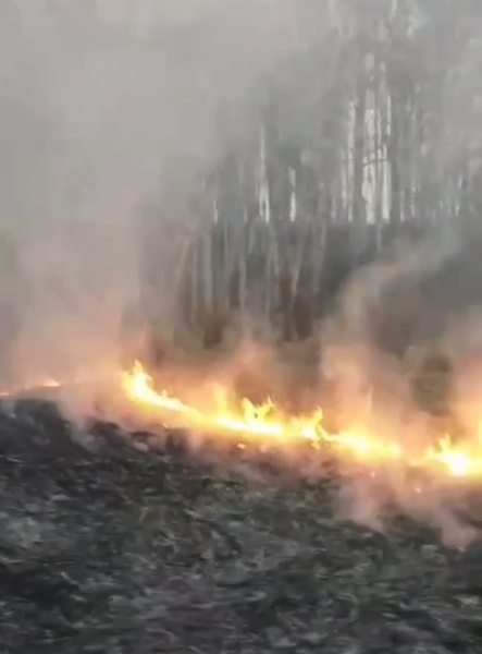 Пожар в Уярском районе удалось потушить