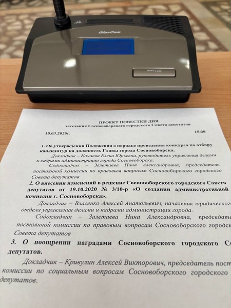 ЛДПР — за прямые выборы глав!