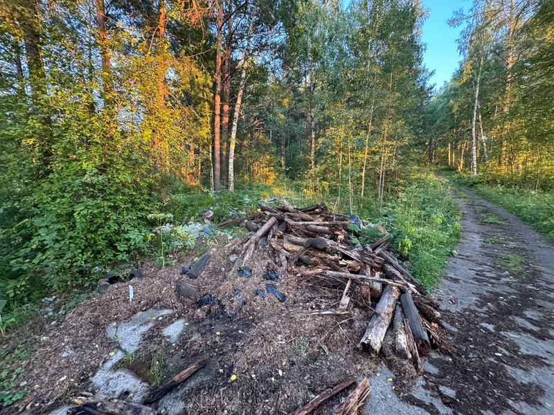 Свалка в Дивногорске продолжает расти