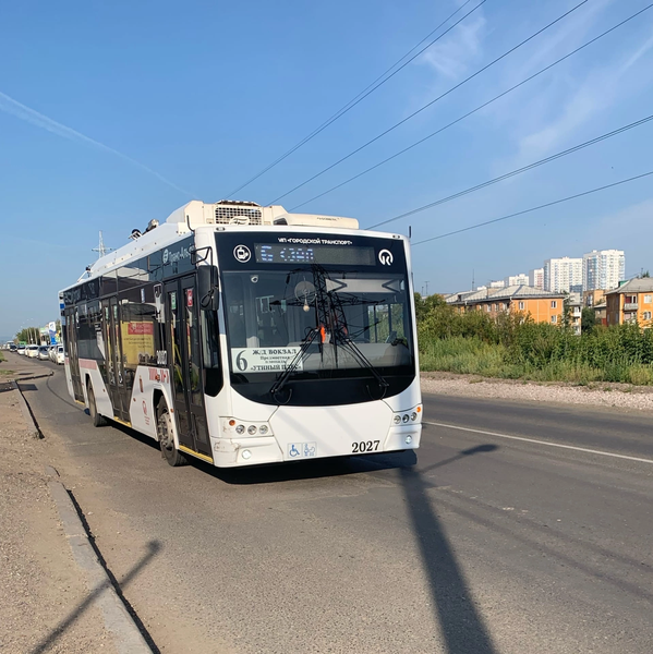 Опасения депутатов ЛДПР по поводу концессии горсетей электротранспорта подтвердила счётная палата