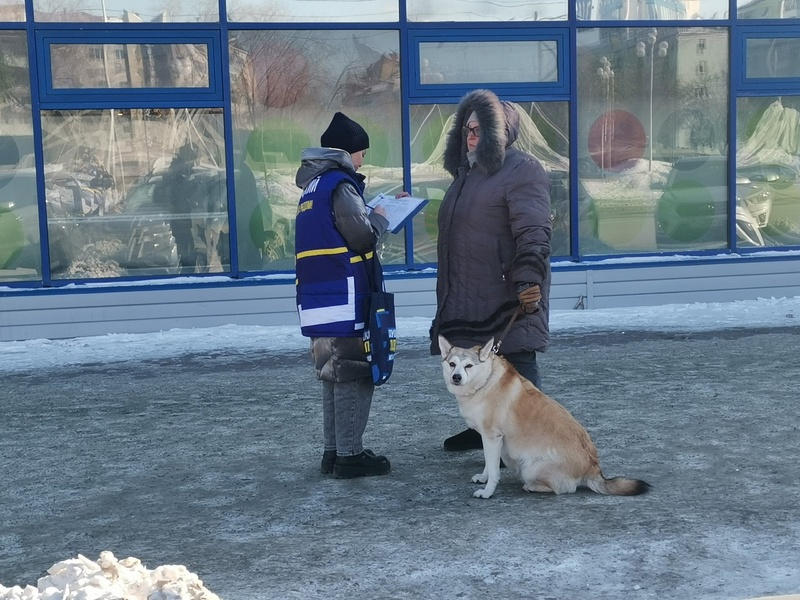 Всероссийский опрос продолжается в Курганской области