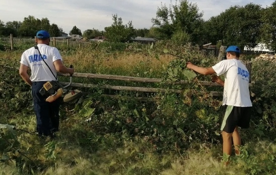 ЛДПР помогает пожилым курянам