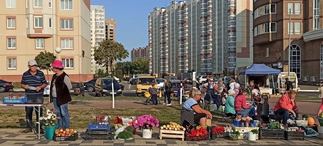  Разрешить уличную торговлю продуктами со своего участка! 