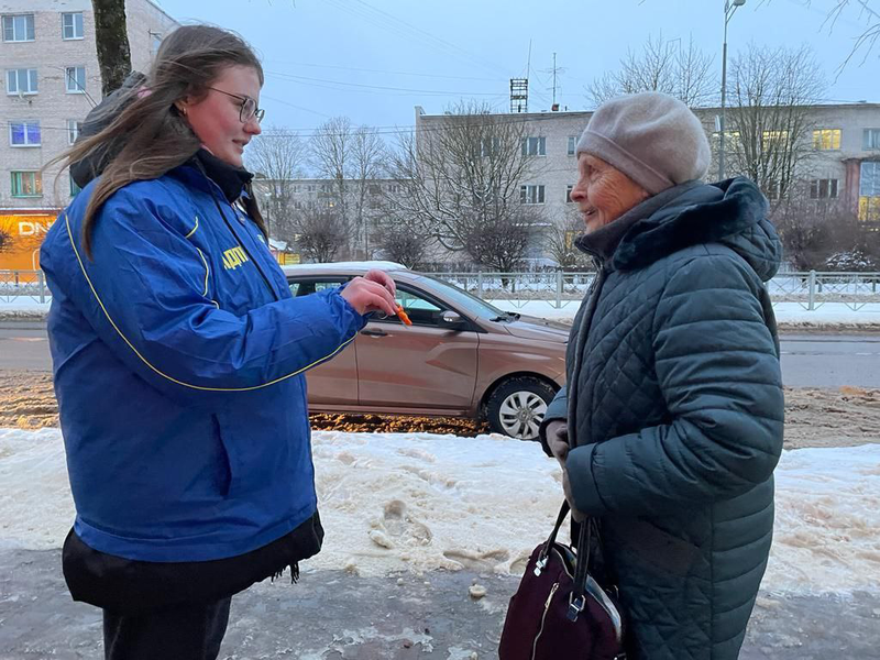 Партийцы провели пикет ЛДПР в Ленинградской области