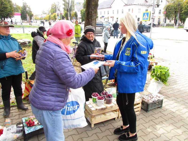 Как проходят пикеты активистов ЛДПР?