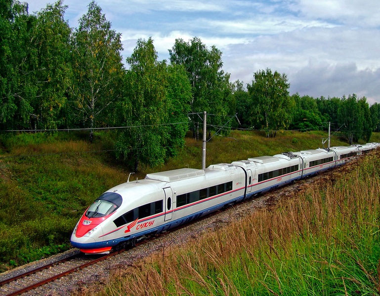 В Ленобласти пенсионерка попала под «Сапсан»