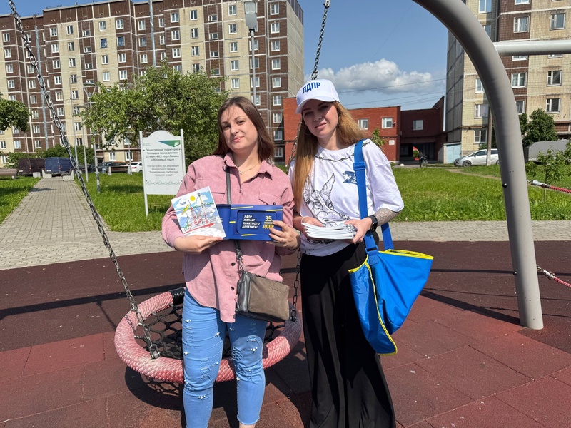Активисты ЛДПР провели пикет в Сланцах