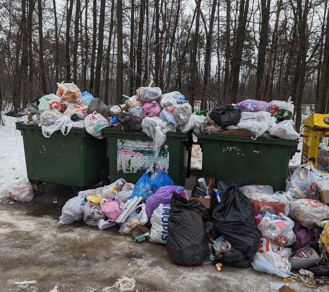 Липчане сообщают в ЛДПР о заваленных мусором дворах