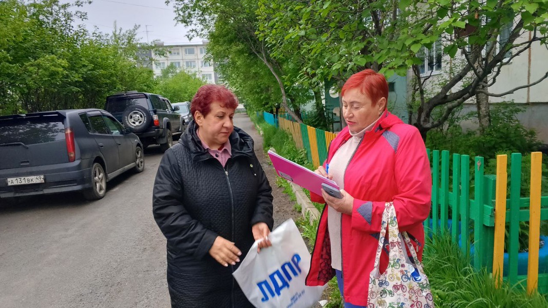 ЛДПР в действии: Анжела Бурдуковская провела обход округа и собрала подписи для решения проблем жителей