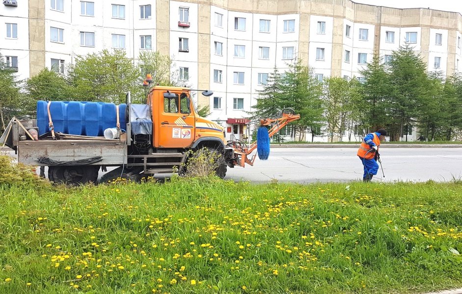 ЛДПР: озеленение - это создание гармонии городской среды и окружающей природы