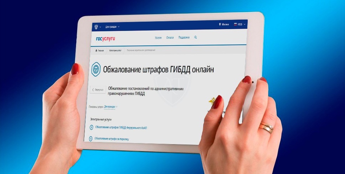 Через сколько придет штраф на госуслугах. Обжалование штрафа через госуслуги.
