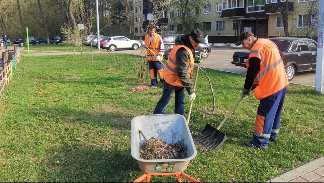 Подмосковным коммунальщикам напомнили об особенностях уборки в летний период