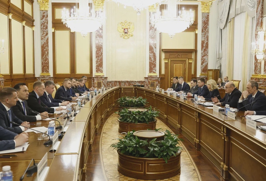 Фракция ЛДПР в ГД встретилась с Председателем Правительства России Михаилом Мишустиным  