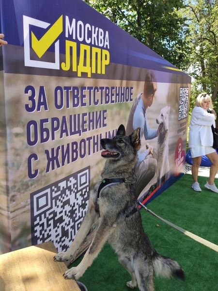 Защитим вместе!