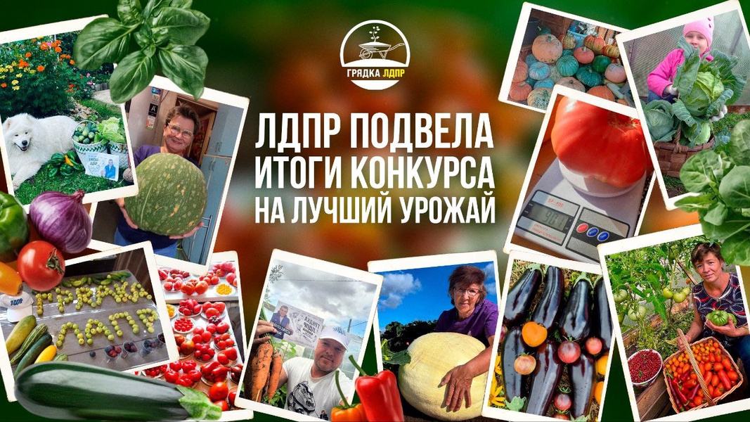 Итоги конкурса «Грядки ЛДПР»: Определены победители щедрого урожая!