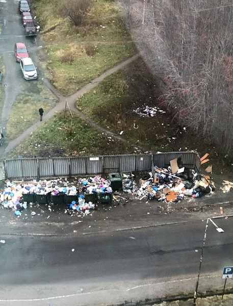 Проблемы с вывозом мусора в ЗАТО Североморск