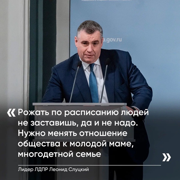 Лидер ЛДПР: Стремительная демографическая экспансия в России начнётся при возврате в село