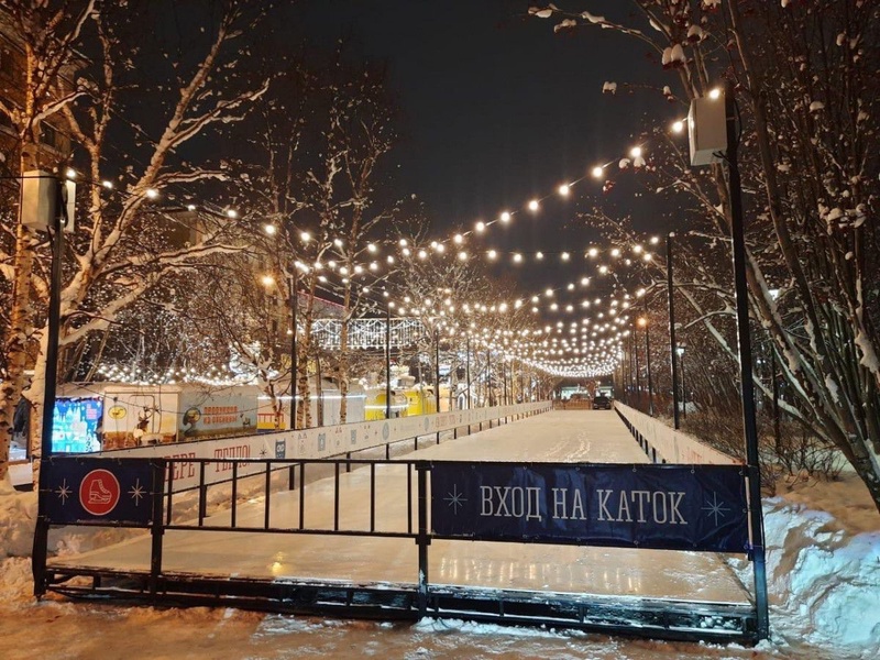 Все на каток!