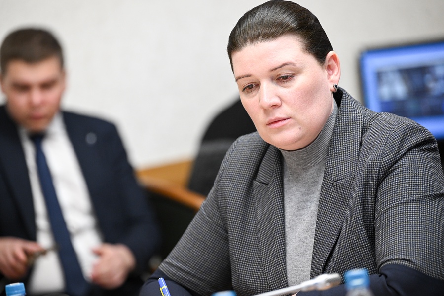 Стратегия развития Арктики должна учитывать специфику каждого региона, ‒ Кулиева