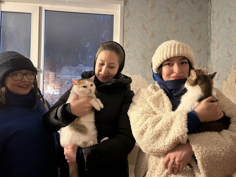 Активисты ЛДПР помогают бездомным животным