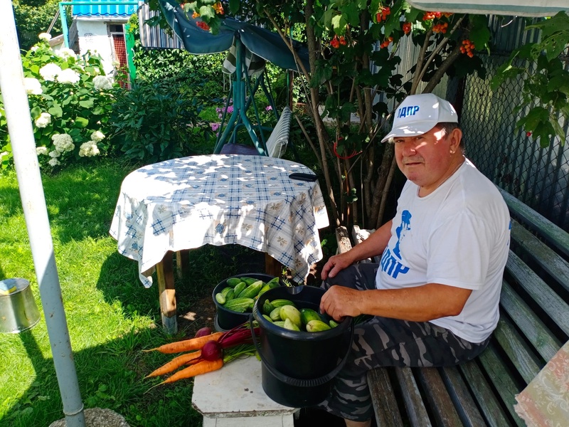 Вкусно и сочно: нижегородцы пробуют урожай с «Грядки ЛДПР»