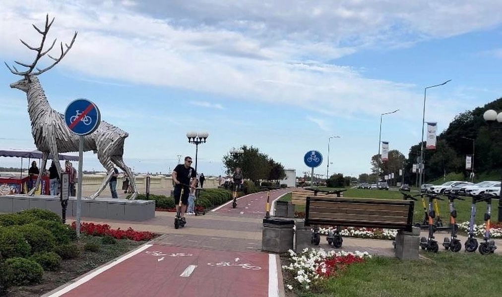 В ЛДПР призвали обязать владельцев электросамокатов заключать договор ОСАГО