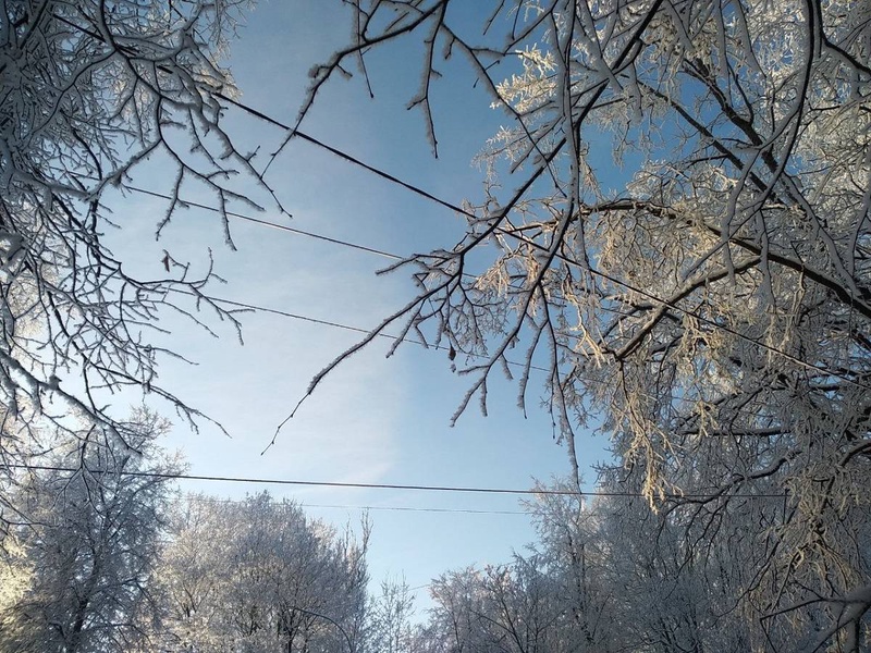  В Новгородскую область вновь пришли сильные морозы