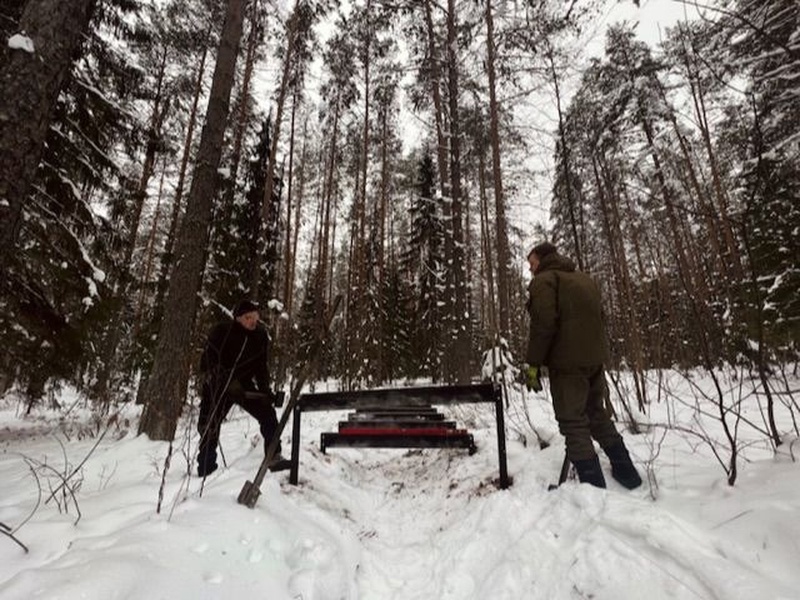 На Большой Валдайской тропе появится маршрут для маломобильных посетителей