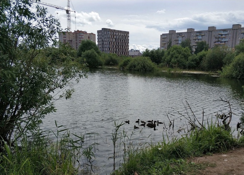 Благоустройство парка «Чистые пруды» начнётся в этом году