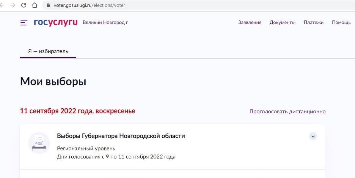Как проголосовать на госуслугах выборы губернатора. Опрос госуслуги. Выборы на госуслугах. Госуслуги голосование. Электронное голосование на госуслугах.
