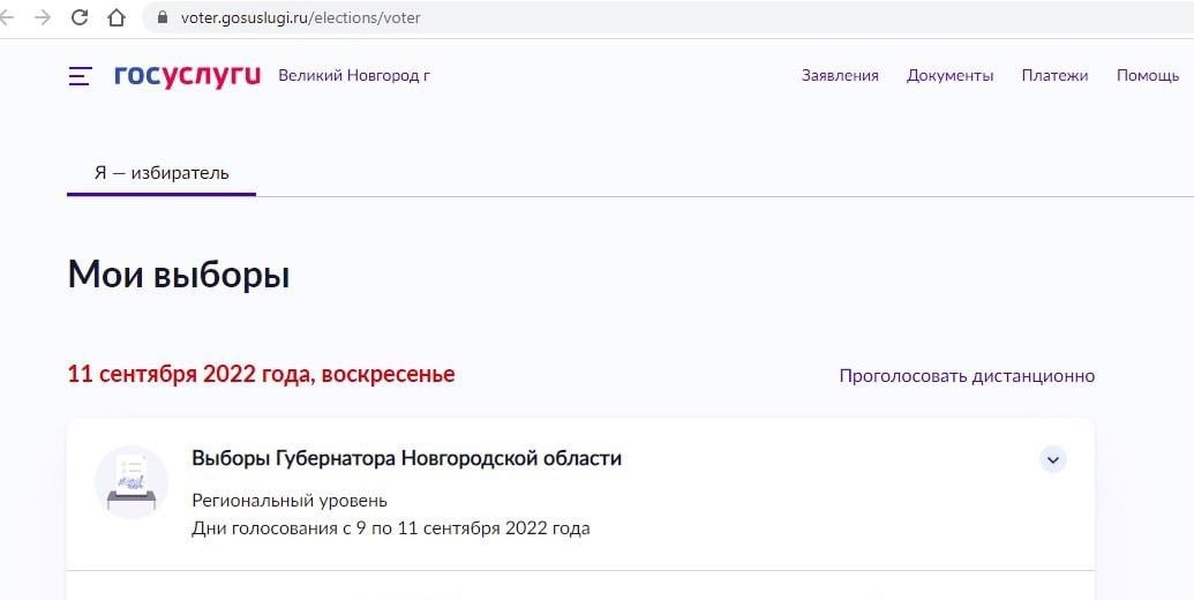 Мое голосование госуслуги мой выбор. Опрос госуслуги. Выборы на госуслугах. Госуслуги голосование. Электронное голосование на госуслугах.