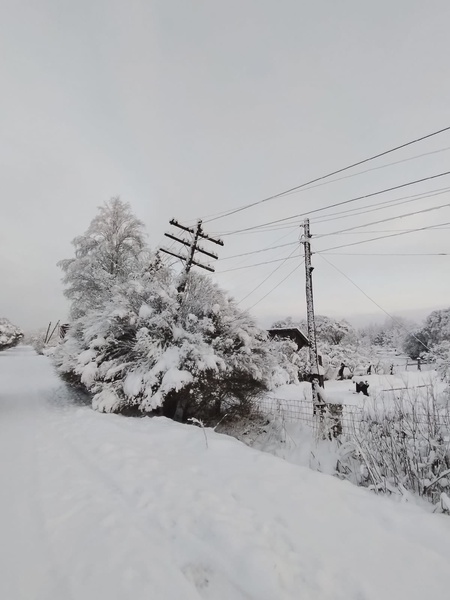 Перебои с электроэнергией на территории Новгородской области