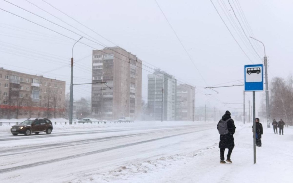 Из-за непогоды без электричества остались 25 деревень в Новгородском районе