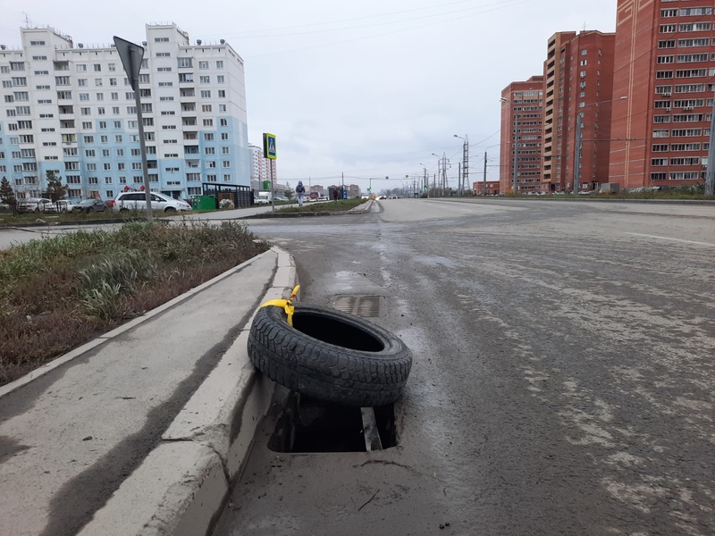 Активист ЛДПР обезопасил водителей на новосибирской улице