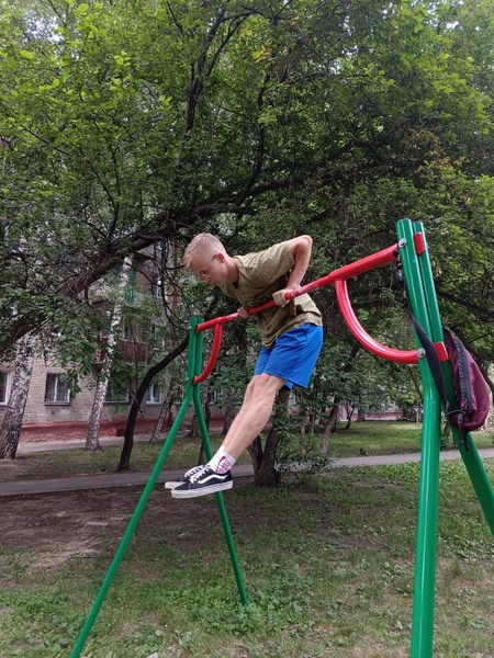 ЛДПР прокачает Новосибирск бесплатным воркаутом