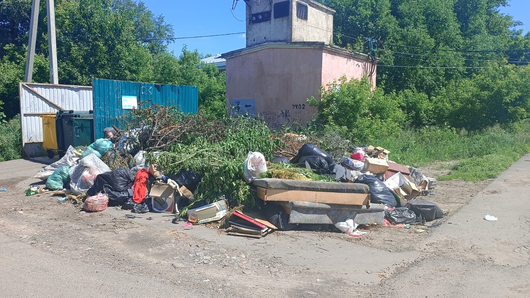 Артём Мышкин призвал власти города следить за вывозом мусора