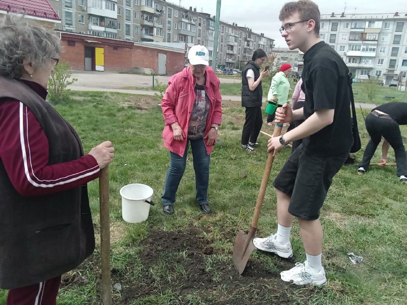 Активисты ЛДПР приняли участие в высадке деревьев на аллее Героев